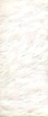 ANGORA YELEK & MODAL TUNİK PANTOLON TAKIM Ekru 3